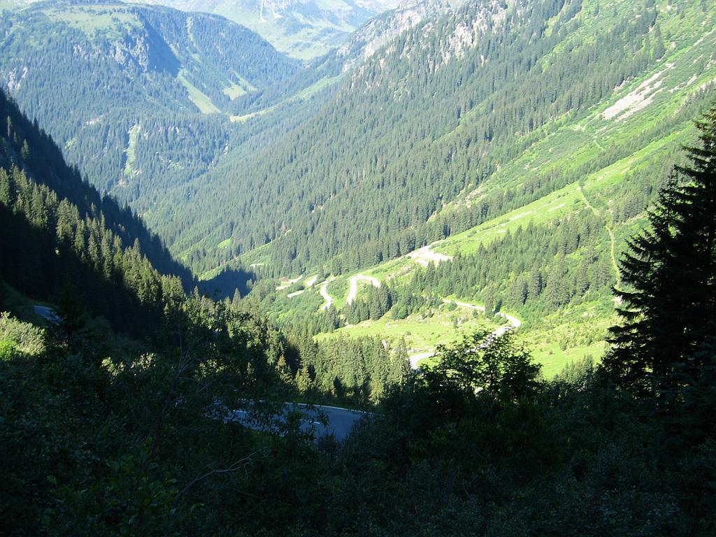 IMG_3558.JPG